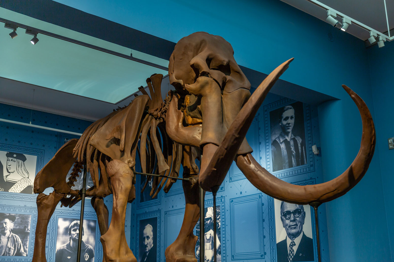 workshops voor scholen - prehistorie - stadsmuseum Lier